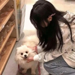 im电竞官方官网